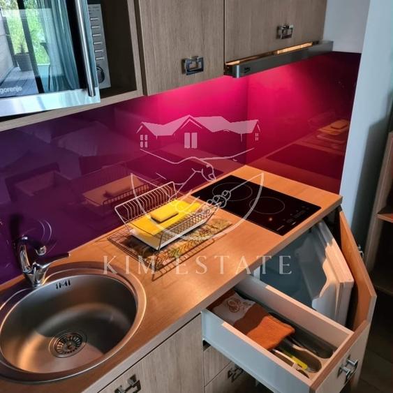 Studio de inchiriat statiunea Mamaia - 5