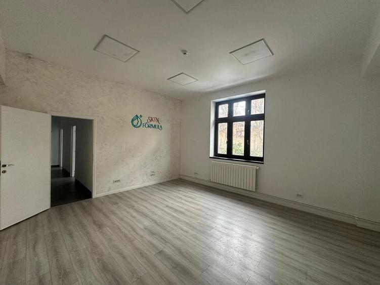 Spatiu birou I Piata Victoriei I Vila interbelica - 4