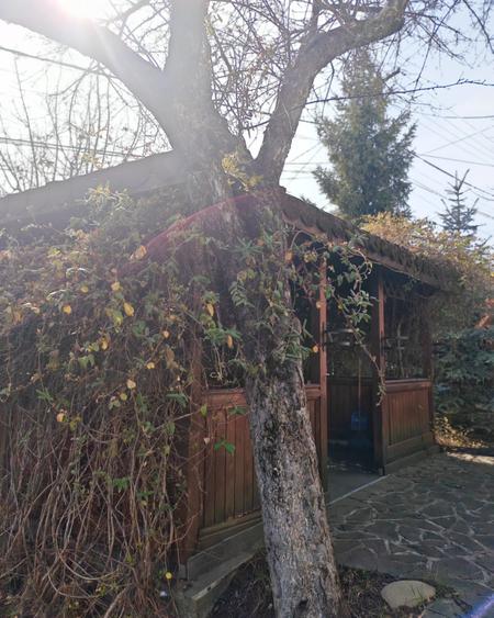 Breaza vila splendida in zona pitoreasca - 2