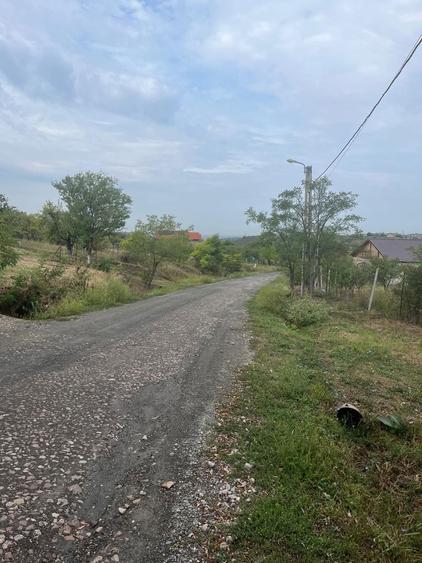 VAND 1000 M Teren INTRAVILAN ,Zona Adevarului Strada LIVEZILOR - 4