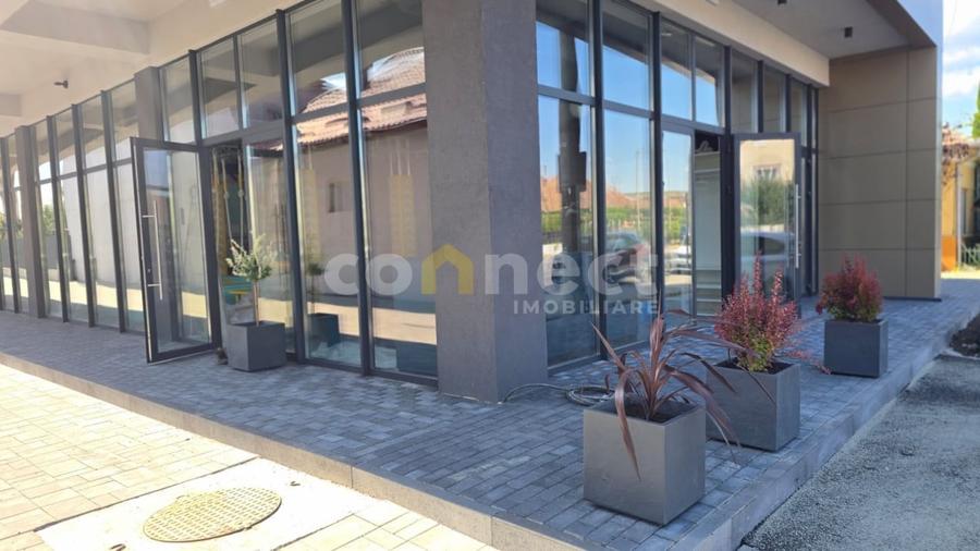 Spatiu de inchiriat - et 1/1 imobil 2025 - 16