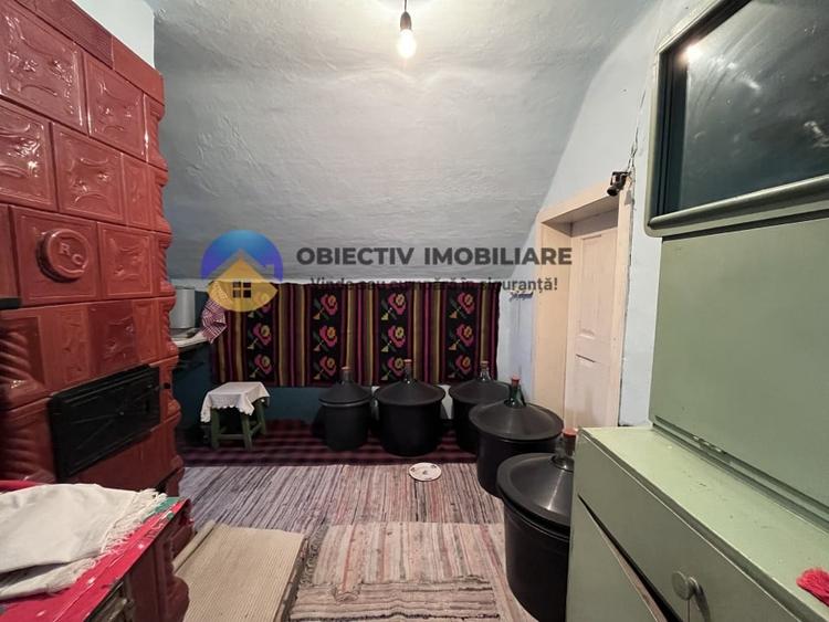 Casa si teren 3054 mp - Negresti - 7