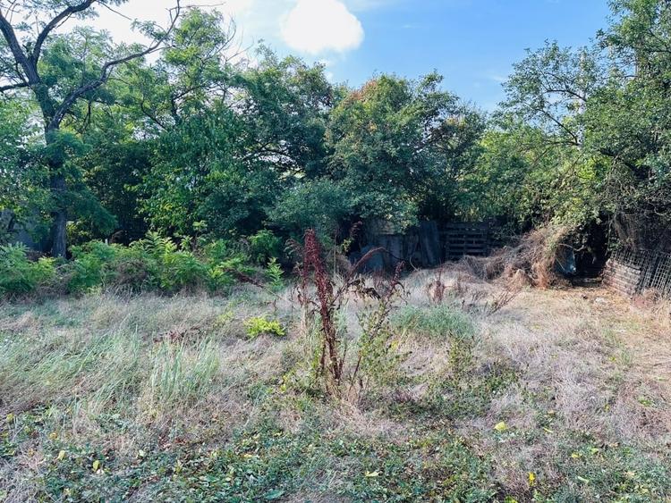 Super Teren intravilan 938 mp Chiajna- 15,5 mp/ 60 mp- ideal pentru investiție - 7