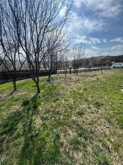 Teren Construcții intravilan de 11400 mp, în Corpadea