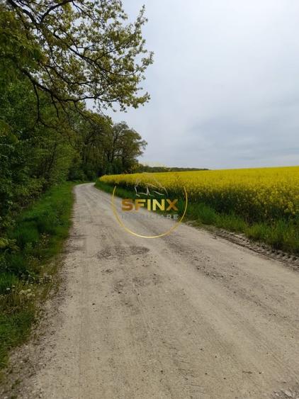 Teren cu PUZ Caldarusani lac/padure 2700 mp - 2