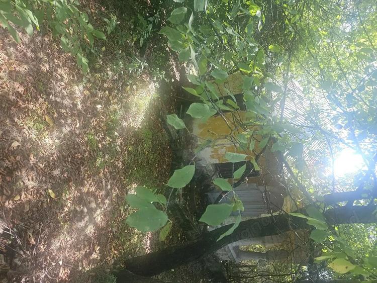 Teren de 1113 mp si casa batraneasca in comuna Mihaesti jude?ul Valcea - 4