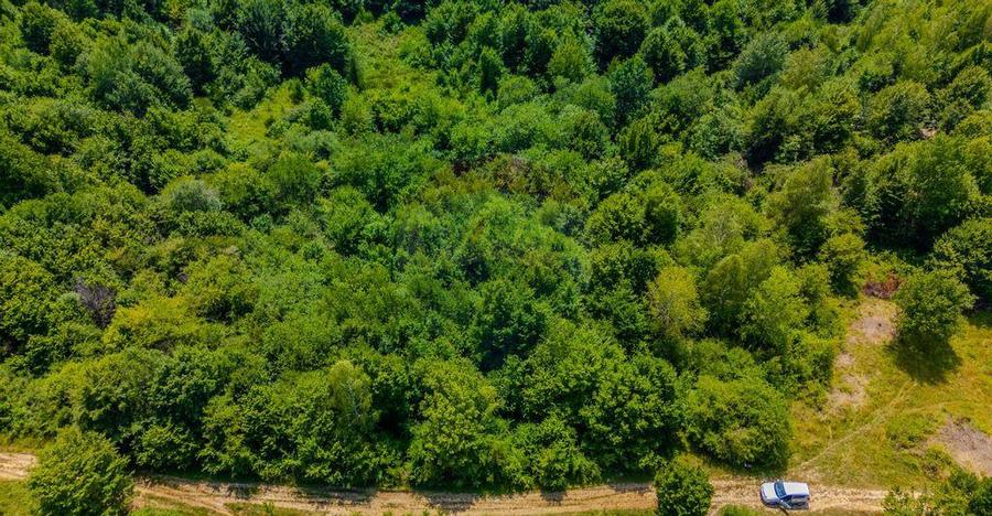 COMISION 0% Teren Grid/Inima Naturii/ Oportunitate de inv... - 1