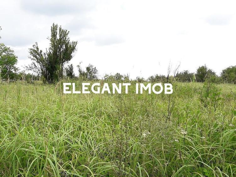 Teren la 79 euro perfect pentru 6-7 vile in Corbeanca - 1