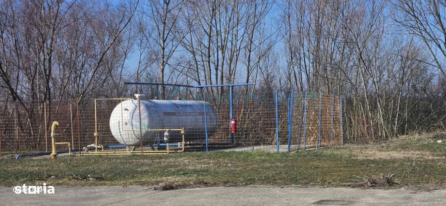 Hala Industriala 6500 mp,Madaras la 30 km de Oradea,Gaminvest,v4077 - 10