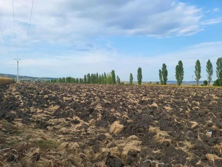 De vanzare teren intravilan in comuna Tureni pentru constructie hale - 2