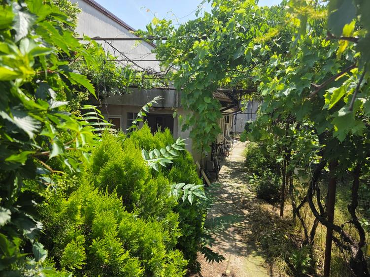 Eroii Revolutiei, spital Marius Nasta , chiar pe Ion Baiulescu, - 4