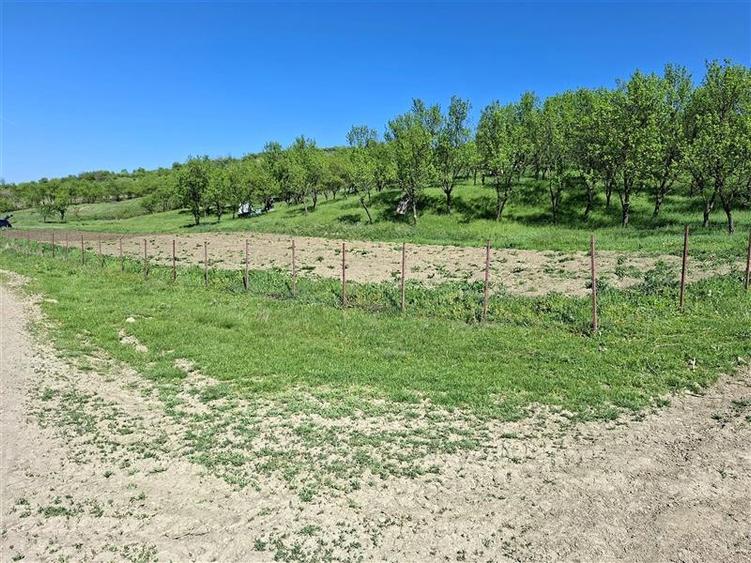 Teren Parcela 1900 mp intravilan Iclozel Iclod - 1