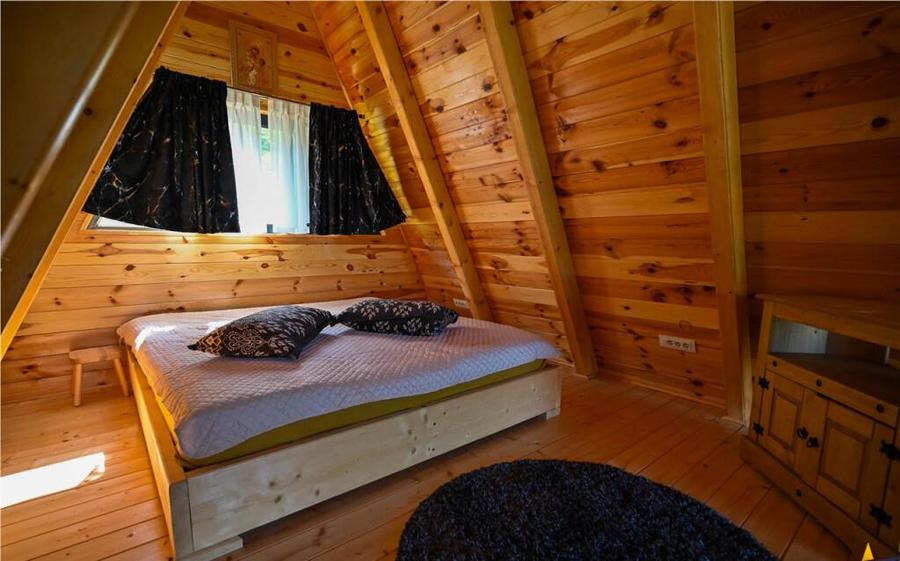 Ansamblu case:rezidential investitional, Moieciu de Jos,con - 3