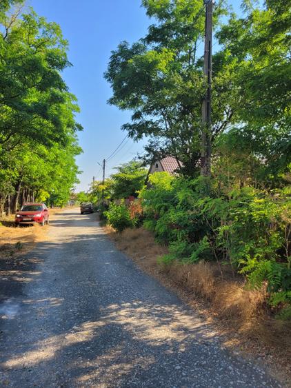 Teren intravilan intre case - 2079 mp - Movilita - 1