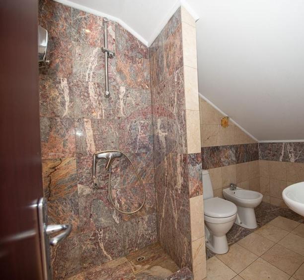 Casa 9 camere de vanzare 1200mp teren Cornetu Padure Lac Mihailesti - 32