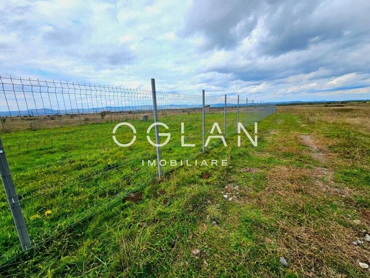 SUPER OFERTA! Teren  1000 mp, Vl. Avrigului SIBIU - 9