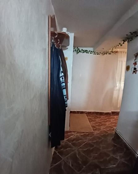 Valea Borcutului, casa 23 ari teren - 6