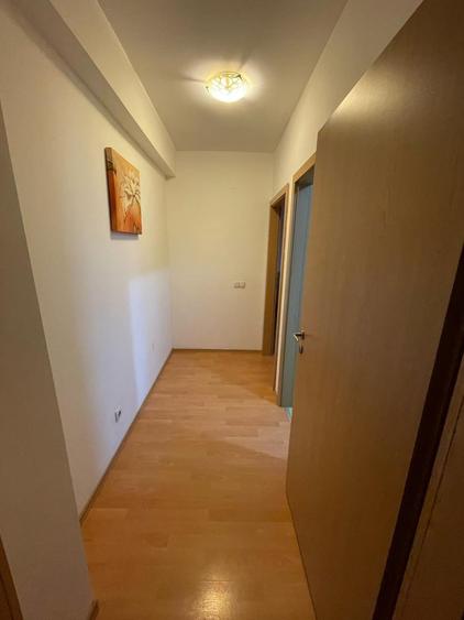 Dumbravita 2 camere 350 euro - 3