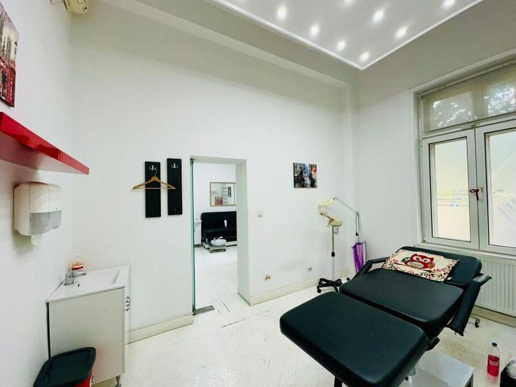 Armeneasca - Pache Protopopescu apartament in vila arhitectura deosebita - 9