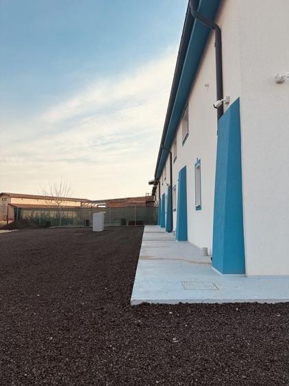 HALA - depozitare | productie | birouri - 6