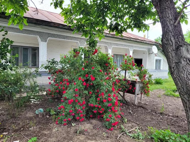 Casa cu teren aproape de Bucure?ti la 15 minute! - 2