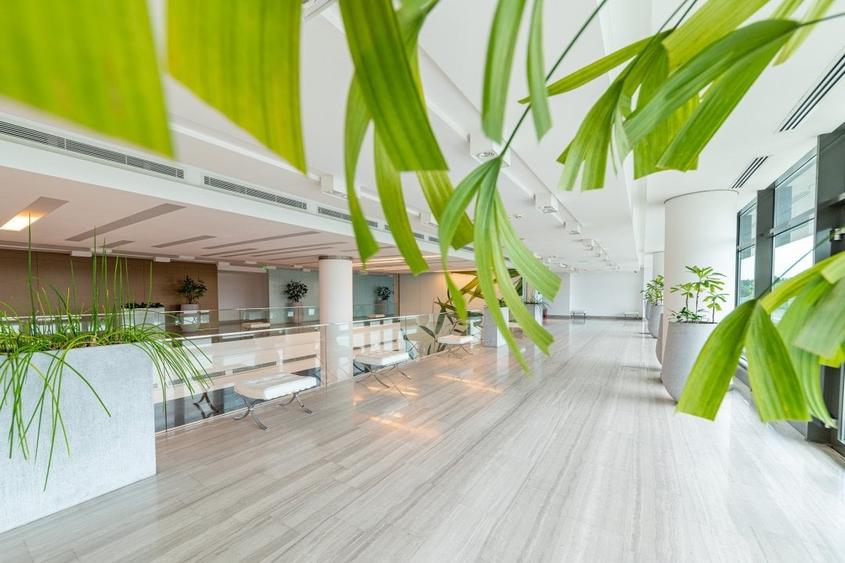 Inchriere spații de birouri in Platinum Business & Convention Center - Baneasa - 6