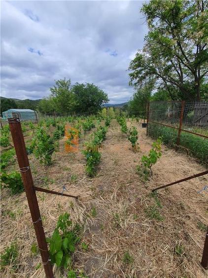 Exclusivitate! Teren intravilan zona Beceni - 7