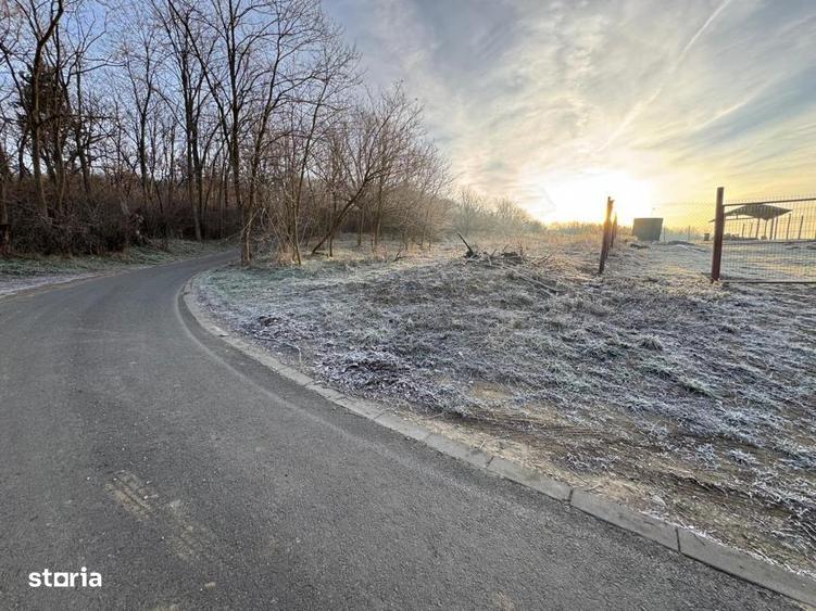Teren de vanzare in Gusteri?a, cu acces asfaltat - 4