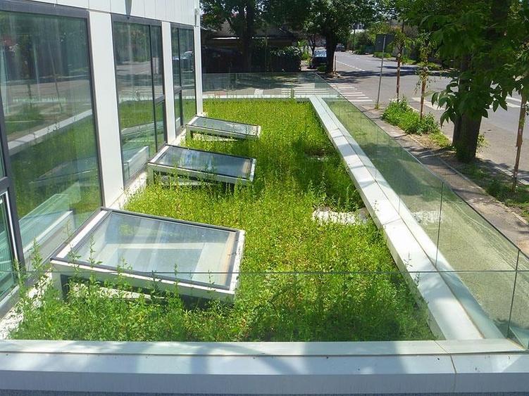 Spatiu de birouri zona Jiului - 200 mp - 5