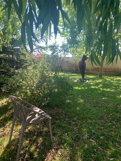 VANZARE CASA VILA - 27