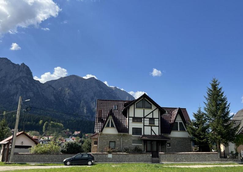 Teren intravilan Poiana Tapului. Tripla deschidere. Vedere l - 5