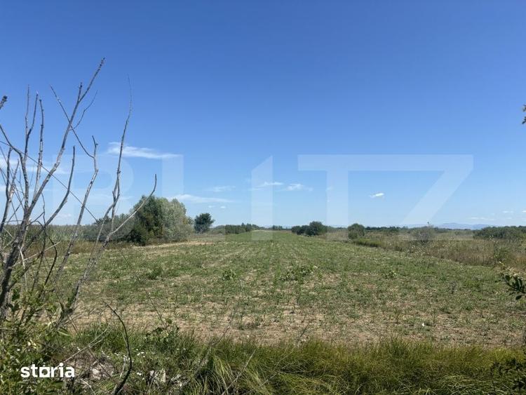 Teren de 62000 mp, în Viile Satu Mare