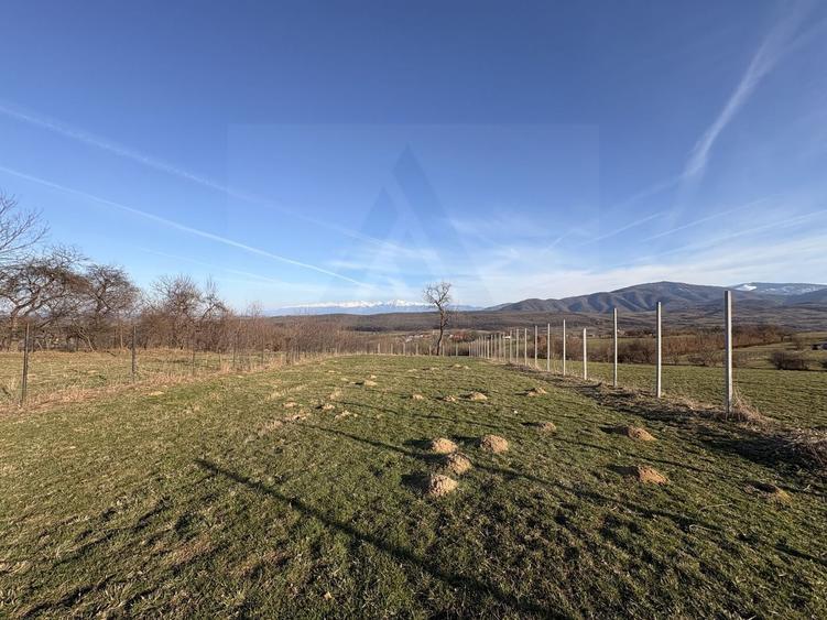 Teren intravilan 809 mp zonă în plină dezvoltare Tropinii Noi - 1