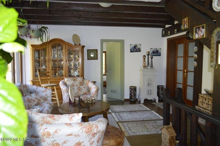 Topoloveni - Conacul Ion Mihalache, Domeniu pe 5 Hectare! - 24