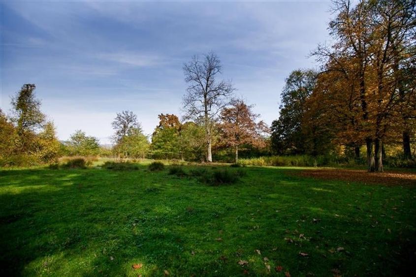 De vanzare Domeniu Baronial SAT CIL - 5