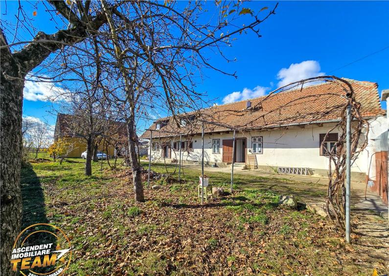 Proprietate autentica spatiu gospodaresc,1800mp,Araci,Covasn - 15