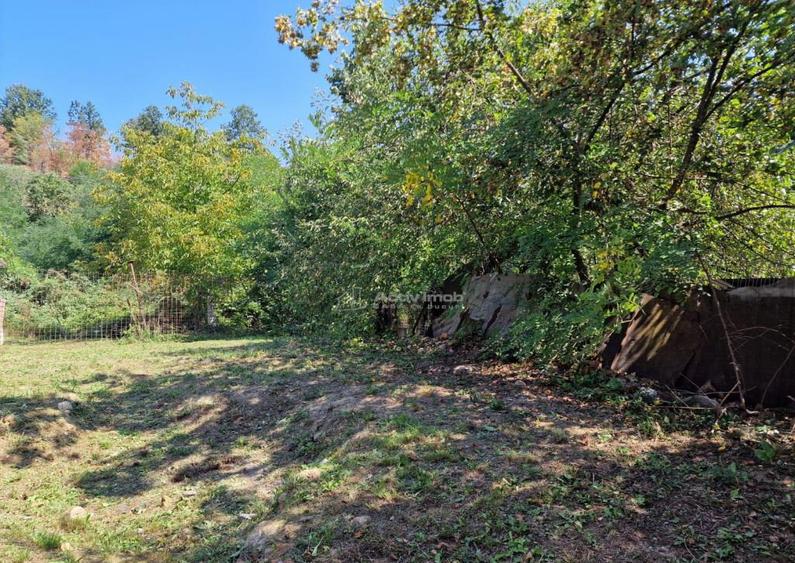 Resita Casa Zona Triaj - 16