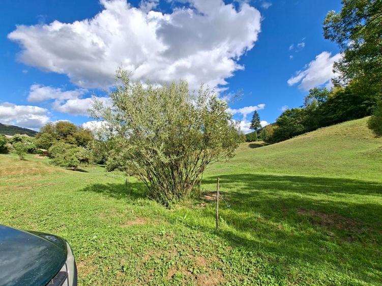 Teren intravilan+extravilan Podirei Bistrita - 5