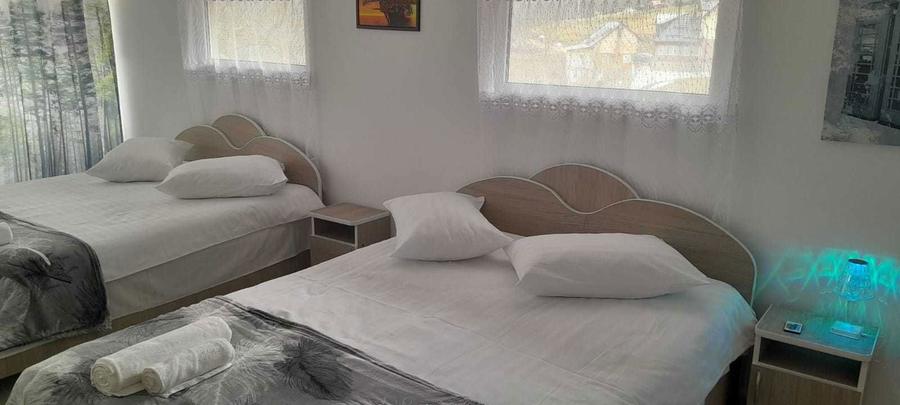 Casa la munte aproape de Paltinul - 5