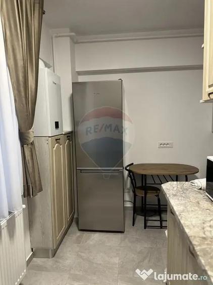 Apartament cu 1 camere de inchiriat Complex Ozana Targu ... - 15