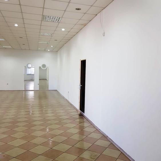 Hale de inchiriat 1000mp situate pe Calea Prutului - 9