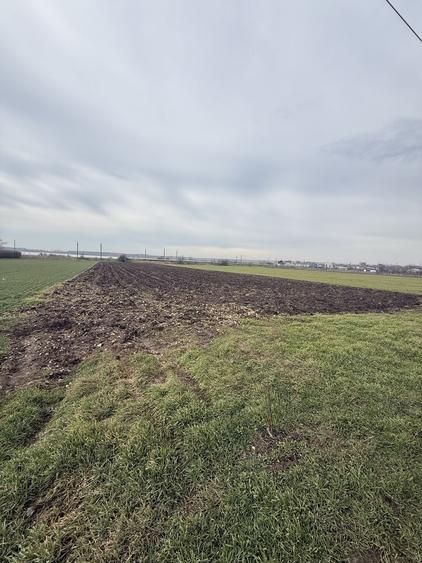 Teren de vanzare corbu - 1