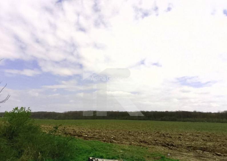 Com GRUIU_Reprezentare exclusiva_TEREN EXTRAVILAN LANGA PAD