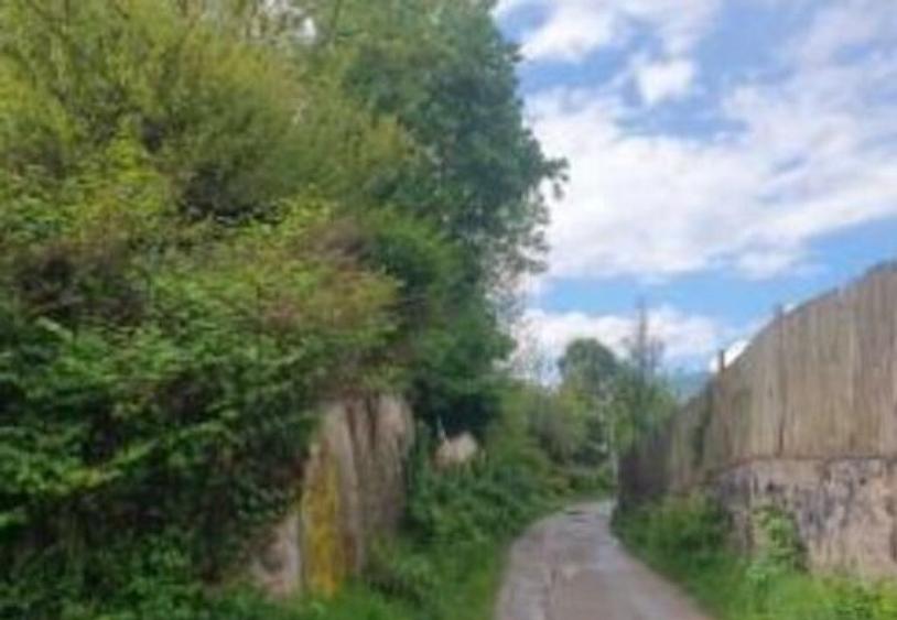 Casa si teren Petrosani, jud. Hunedoara - termen 23.10 - 9