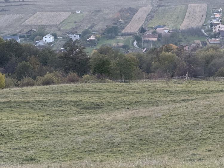 Teren extravilan de vanzare in Salicea 916mp+84mp drum necesita PUZ - 10