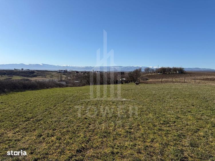 Teren intravilan de vanzare - Ocna Sibiului - 15