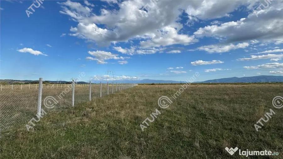 Teren 4200 mp situat in extravilanul zona Calea Surii Mici S - 1