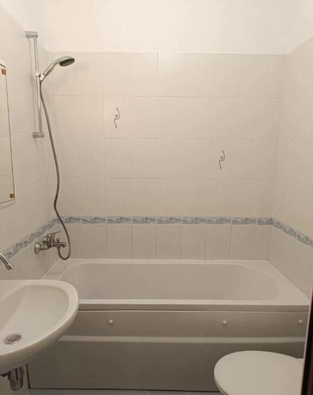 Apartament cu 2 camere de inchiriat in zona Piata Resitei - 4