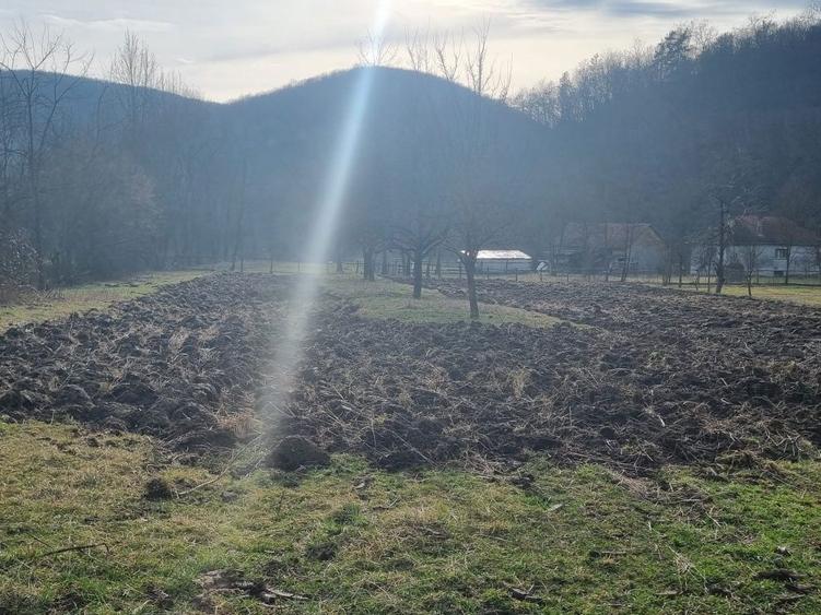 Teren cu casa si sura batranesca. 3700m2 de Teren, - 6