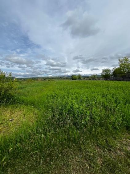 Teren extravilan de vânzare – 2.800 mp, Livezile, județul Bistrița-Năsăud - 2